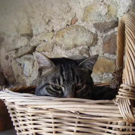 Couette-café Le Clos Goëlle Moissat